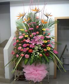 師宗網(wǎng)上花店 商品內(nèi)容 天堂鳥 粉色多頭百合 粉玫瑰 扶郎 黃鶯 時(shí)尚配花 綠葉 商品包裝 單層1.8米高開業(yè)花籃
