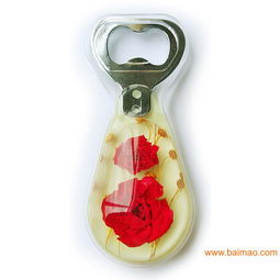 石竹花鮮花琥珀開(kāi)瓶器 高品質(zhì) 小禮品 創(chuàng)意工藝品,石竹花鮮花琥珀開(kāi)瓶器 高品質(zhì) 小禮品 創(chuàng)意工藝品生產(chǎn)廠家,石竹花鮮花琥珀開(kāi)瓶器 高品質(zhì) 小禮品 創(chuàng)意工藝品價(jià)格
