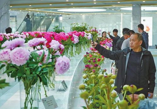 昆明國際花卉拍賣交易中心進軍菏澤